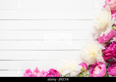 Pivoines sur planches en bois blanc avec fond copie espace, vue du dessus. Grand usage comme des maquettes pour les produits, projets, design féminin invitation mariage / Banque D'Images