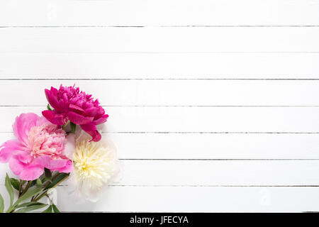 Pivoines sur planches en bois blanc avec fond copie espace, vue du dessus. Grand usage comme des maquettes pour les produits, projets, design féminin invitation mariage / Banque D'Images