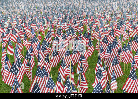 Drapeaux américains plantés en mémoire des soldats, Memorial Day, Boston, MA Banque D'Images