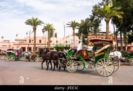 Marrakech, Maroc - 04 mai 2017 : un cocher est relaxant sur son cheval en calèche sur la place Jemaa el Fnaa à Marrakech en attendant touri Banque D'Images