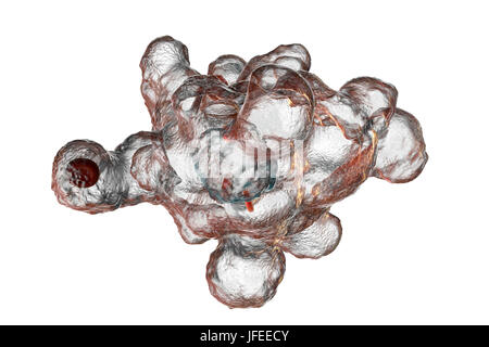 Amibe parasitaire (Entamoeba histolytica), illustration de l'ordinateur. Cet organisme unicellulaire la dysenterie amibienne et ulcères (stade végétatif) trophozoïte. Il se transmet par contamination fécale des aliments et de l'eau et est plus commun où l'assainissement est pauvre. Les amibes envahissent l'intestin mais peut se répandre sur le foie, les poumons et d'autres tissus. L'infection est provoquée par l'ingestion de kystes qui se développent dans l'amibe trophozoïte pathogènes vus ici. Entamoeba histolytica est présente dans le monde entier, avec jusqu'à 50 % de la population infectée principalement dans les climats chauds. Banque D'Images