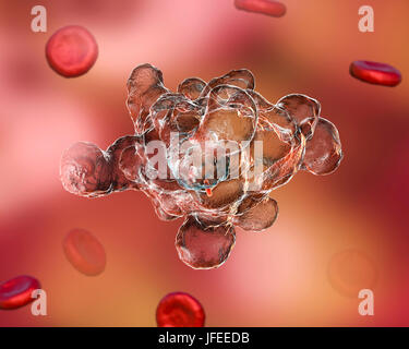 Amibe parasitaire (Entamoeba histolytica) qui envahit les globules rouges, l'illustration de l'ordinateur. Cet organisme unicellulaire la dysenterie amibienne et ulcères (stade végétatif) trophozoïte. Il se transmet par contamination fécale des aliments et de l'eau et est plus commun où l'assainissement est pauvre. Les amibes envahissent l'intestin mais peut se répandre sur le foie, les poumons et d'autres tissus. L'infection est provoquée par l'ingestion de kystes qui se développent dans l'amibe trophozoïte pathogènes vus ici. Entamoeba histolytica est présente dans le monde entier, avec jusqu'à 50 % de la population infectée principalement dans les climats chauds. Banque D'Images