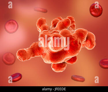 Amibe parasitaire (Entamoeba histolytica), illustration de l'ordinateur. Cet organisme unicellulaire la dysenterie amibienne et ulcères (stade végétatif) trophozoïte. Il se transmet par contamination fécale des aliments et de l'eau et est plus commun où l'assainissement est pauvre. Les amibes envahissent l'intestin mais peut se répandre sur le foie, les poumons et d'autres tissus. L'infection est provoquée par l'ingestion de kystes qui se développent dans l'amibe trophozoïte pathogènes vus ici. Entamoeba histolytica est présente dans le monde entier, avec jusqu'à 50 % de la population infectée principalement dans les climats chauds. Banque D'Images