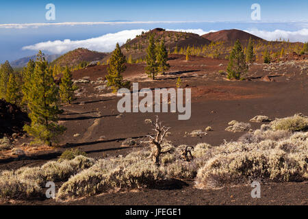 Crater décor du parc national du Teide, Tenerife, Espagne Banque D'Images