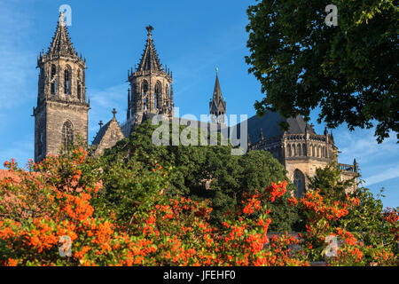 La cathédrale de Magdebourg dans la vieille ville, du château Maged, Saxe-Anhalt, Allemagne Banque D'Images