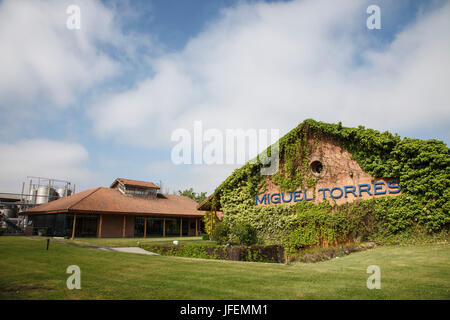 Le Chili, Valle de Curico, commerce équitable, vins, Miguel Torres, vignoble Banque D'Images