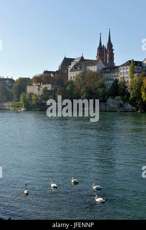 La Suisse, Canton de Bâle-Ville, Bâle, la rive gauche du Rhin, Grand, et la cathédrale de Bâle, avec la Cathédrale Banque D'Images