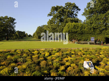 Vue sur le lit de la fleur du centenaire au 1er Départs et allées à Shirley Park Golf Club, Croydon, Surrey, Angleterre Banque D'Images