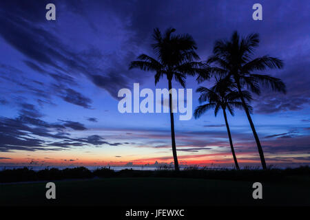Coucher du soleil le long de la côte du golfe de Floride avec silhouette de palmiers Banque D'Images