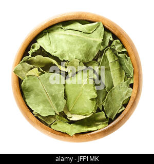 Les feuilles de lime dans un bol en bois. Vert feuilles de Citrus hystrix, aussi makrut papeda lime ou de l'Ile Maurice. Les agrumes d'Asie centrale. Banque D'Images