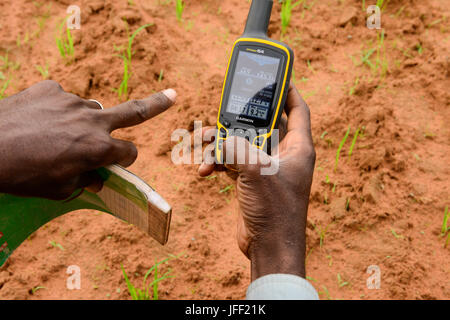 BURKINA FASO, Ouagadougou, Institut agricole PAC-M, la culture du riz avec des semences hybrides, l'utilisation de l'outil GPS Banque D'Images