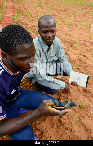 BURKINA FASO, Ouagadougou, Institut agricole PAC-M, la culture du riz avec des semences hybrides, l'utilisation de l'outil GPS Banque D'Images