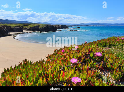 La plage de sable de l'Atlantique Algarve (Espagne). Banque D'Images