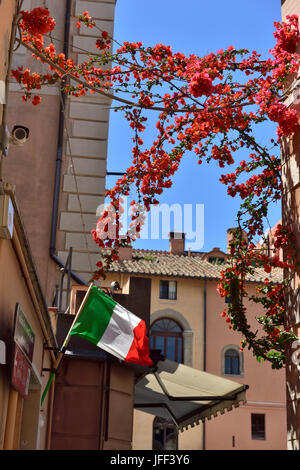 L'Italien vert, blanc et rouge de drapeau rouge avec cadre de bougainvilliers Banque D'Images