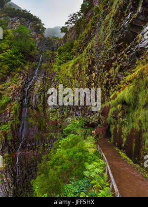 Levada Risco à Madère Portugal Banque D'Images