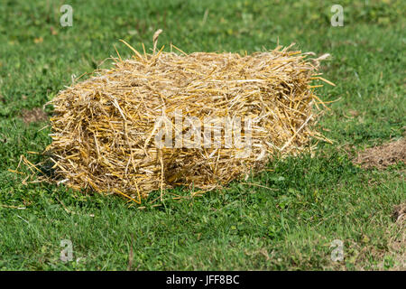 Bottes de paille dans un pré. Banque D'Images