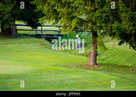 Joueur de golf, à l'opposé du spectateur, à la recherche de boules perdues dans l'eau et l'herbe haute Banque D'Images