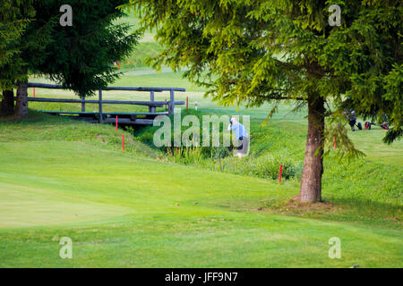 Joueur de golf, à l'opposé du spectateur, à la recherche de boules perdues dans l'eau et l'herbe haute Banque D'Images