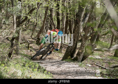 Les jeunes biker vtt à travers les troncs d'arbres en forêt Banque D'Images