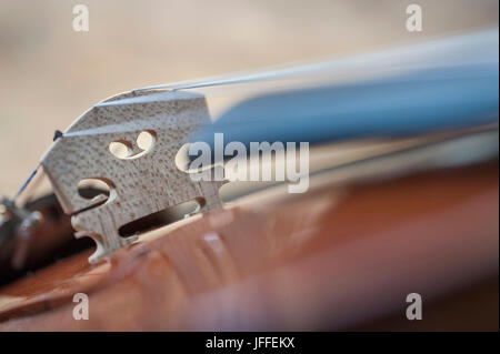 Close-up de cordes de violon Banque D'Images