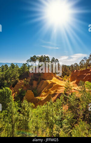 Créer des arbres vert contraste avec l'ocre Banque D'Images