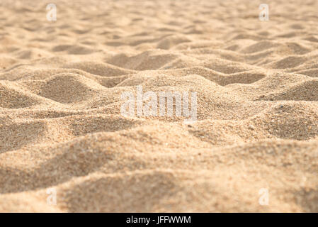 dunes de sable Banque D'Images