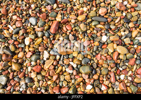 Galets multicolores humides sur une plage en Australie Banque D'Images