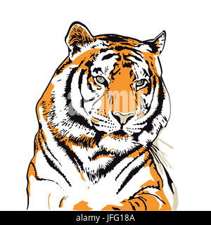 Tête de tigre illustration isolé sur fond blanc Banque D'Images