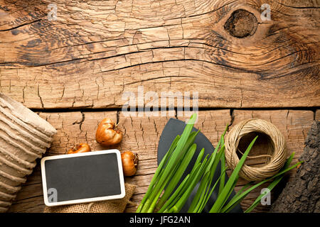 Outils de jardinage sur fond de bois Banque D'Images