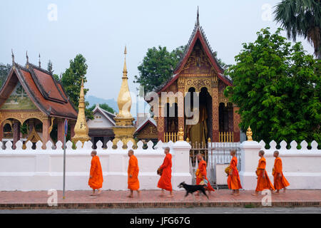 Procession de moines bouddhistes en robe orange à l'aube pour recueillir des dons dans les rues de Luang Prabang, Laos, Asie Banque D'Images