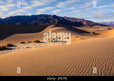 Le matin sur des dunes Banque D'Images