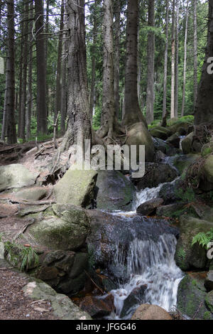 Brocken, Allemagne Banque D'Images