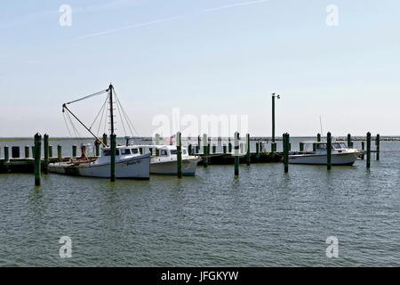 Les bateaux de pêche de la baie de Chesapeake lié au quai. Banque D'Images