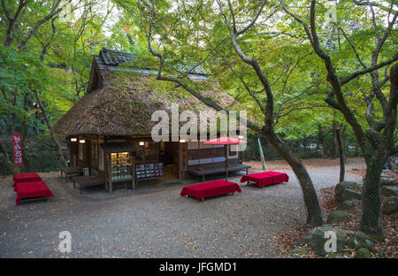 Le Japon, Kansai, Nara, Nara City Park Banque D'Images