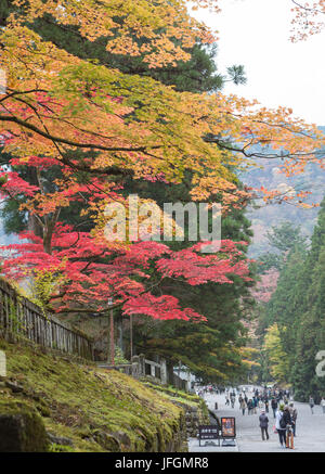 Japon, Nikko, ville sanctuaire Toshogu, couleurs d'automne Banque D'Images