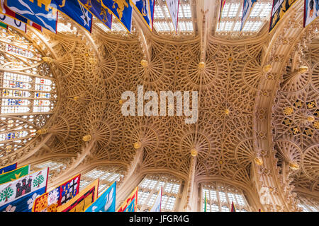 L'Angleterre, Londres, l'abbaye de Westminster, plafond de la chapelle Henri VII, Dame Banque D'Images