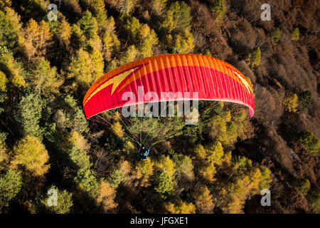 Parachute à Monte Dolada, automne, vues aériennes, bois de l'automne, Ventien, Italie Banque D'Images