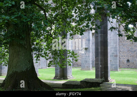 La ruine de l'église du cloître cistercien de Arnsburg, lumière, Hessen, Allemagne Banque D'Images