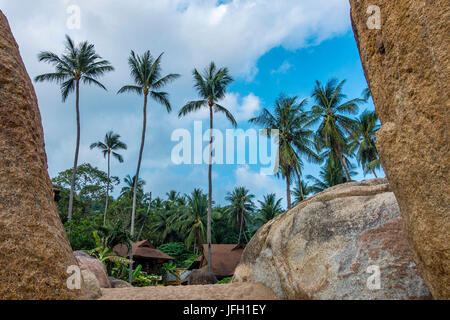 Coral Beach Cove Beach, Golf de Thaïlande, Ko Samui, Thaïlande du sud, la Thaïlande, l'Asie Banque D'Images