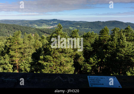 Vue de la tour de garde sur le Schwarzenberg dans la réserve naturelle du bois du nord en direction de Harmanschlag et Nebelstein, Autriche, Basse Autriche, Bad Großpertholz, quart de forêt Banque D'Images