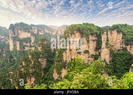 Piliers karst à wulingyuan de zhangjiajie parc national de la province du Hunan en Chine Banque D'Images