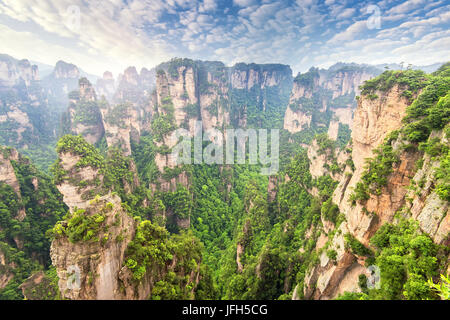 Piliers karst à wulingyuan de zhangjiajie parc national de la province du Hunan en Chine Banque D'Images