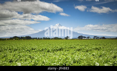 Le Mont Taranaki en Nouvelle Zélande Banque D'Images