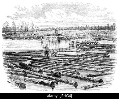 Le commerce du bois à une estacade sur la côte Nord-Ouest, États-Unis d'Amérique Banque D'Images