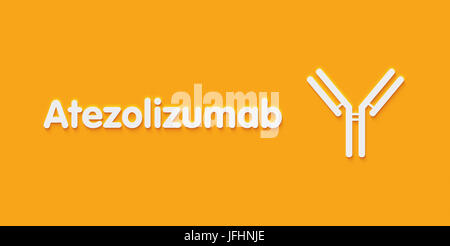 Atezolizumab les anticorps monoclonaux. La mort programmée des cellules cibles-ligand 1 (PD-L1, inhibiteur de contrôle immunitaire) et est utilisé dans le traitement de pouvez Banque D'Images