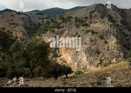 Aradena Gorge est un profond canyon calcaire allant de l'Lefka Ori ou Montagnes Blanches jusqu'à la côte sud de la Crète. De nos jours, c'est une randonnée populaire Banque D'Images