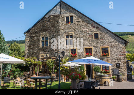 L'Europe, l'Allemagne, Rhénanie-Palatinat, district 3621, la Moselle, Longuich, vieux château Banque D'Images