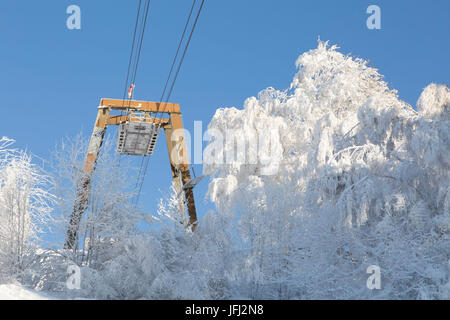 Des arbres couverts de neige avec pilier téléphérique Banque D'Images