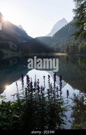 L'humeur du matin à Lai da Palpuogna, un lac pittoresque dans le canton des Grisons Banque D'Images