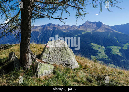 Le mélèze dans les pas d'arrière de l'Sattelspitze dans le Texelgruppe, vue sur vallée Passeier sur alpes Sarntaler avec appartement Inge, Tyrol du Sud Banque D'Images